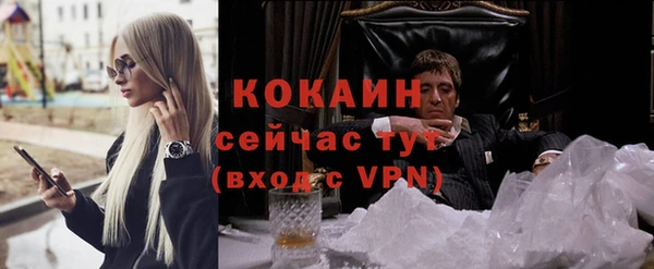тгк Алзамай