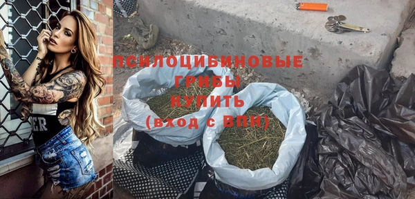 тгк Алзамай