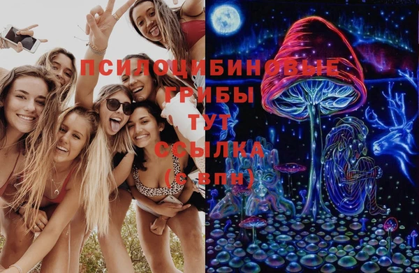 дмт Алексин
