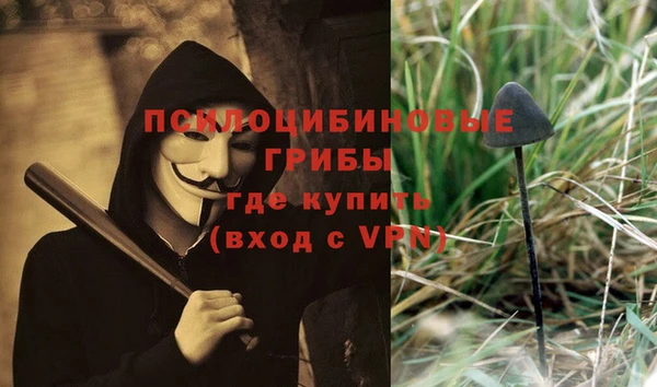 шишки Алексеевка