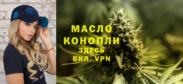 тгк Алзамай