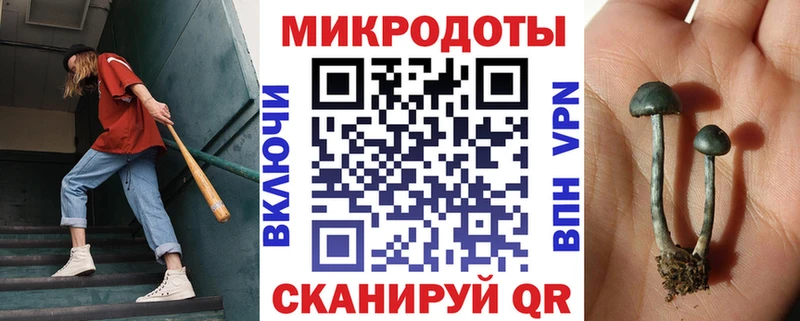 Псилоцибиновые грибы мухоморы МЕГА маркетплейс Лаишево где найти наркотики