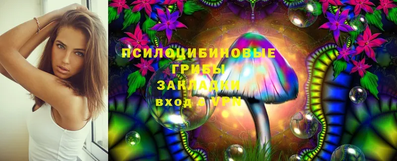 Галлюциногенные грибы Psilocybine cubensis  Лаишево 